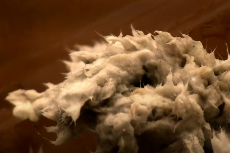 পরে পাল্পার যন্ত্রের মধ্যে পাল্পের মধ্যে দিয়ে বাতাস চালনা করা হয়। কাগজের গায়ে কোনও কালি লেগে থাকলে তা বাতাসের সংস্পর্শে আসার ফলে তন্তুগুলি থেকে আলাদা হয়ে যায়।