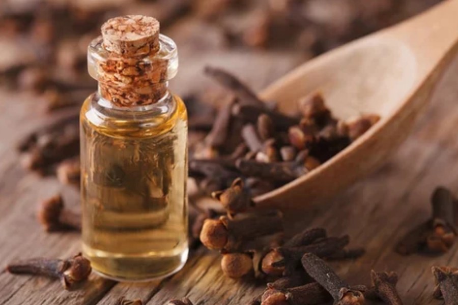 image of clove oil