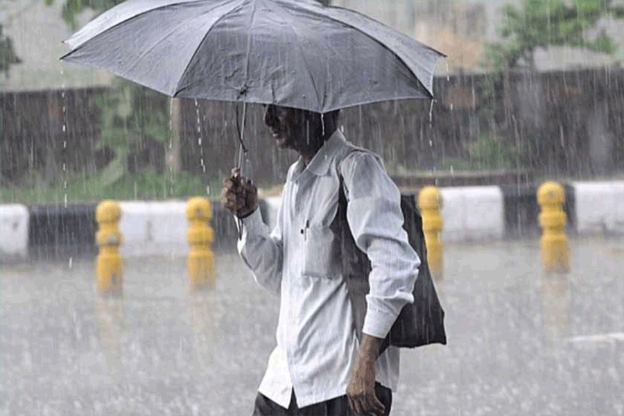 Forecast of rain in 8 districts of South Bengal and all districts North Bengal on Saturday.