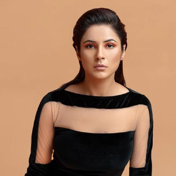 ‘বিগ বস’ রিয়্যালিটি শোয়ে অংশগ্রহণ করে প্রচারে এসেছিলেন শেহনাজ। পঞ্জাবি ভাষার ছবিতে অভিনয় করার পাশাপাশি একাধিক মিউজ়িক ভিডিয়োতে অভিনয় করতে দেখা গিয়েছে তাঁকে।