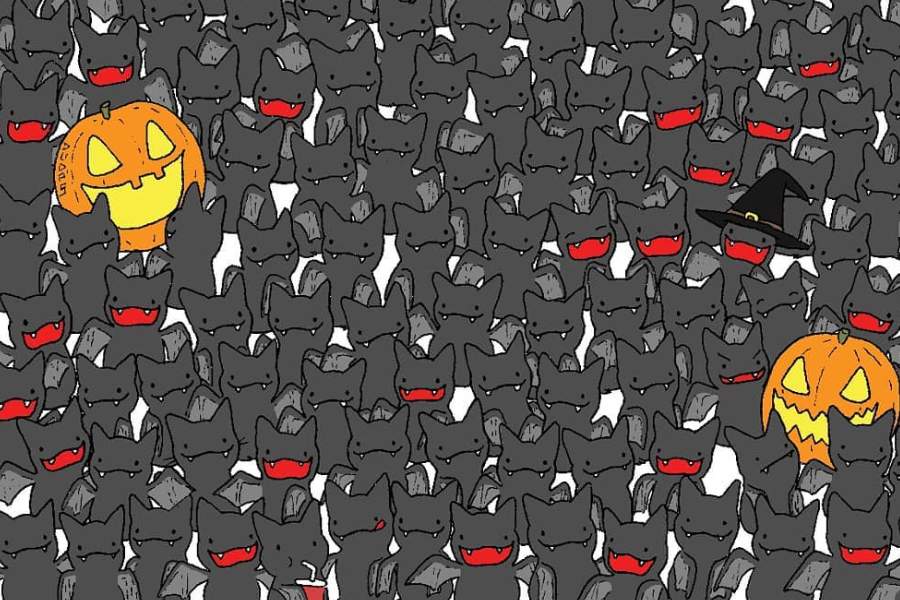 find the only cat among the bats 