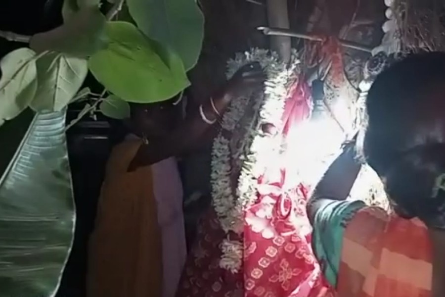 Woman arranges marriage of Ficus Benghalensis which they care after as son