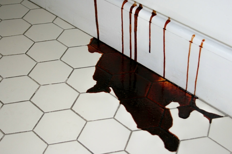 Blood flowing from the walls of house in Atlanta still remains mystery.