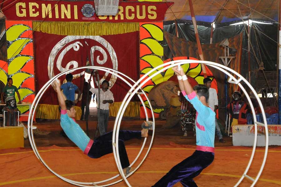 Circus Legend Gemini Shankaran.