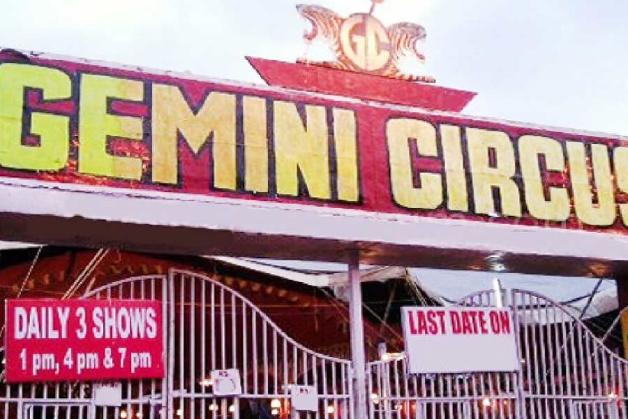 Circus Legend Gemini Shankaran.