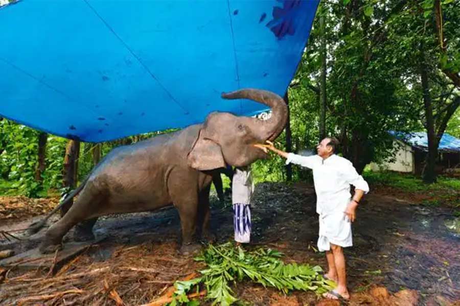Circus Legend Gemini Shankaran.
