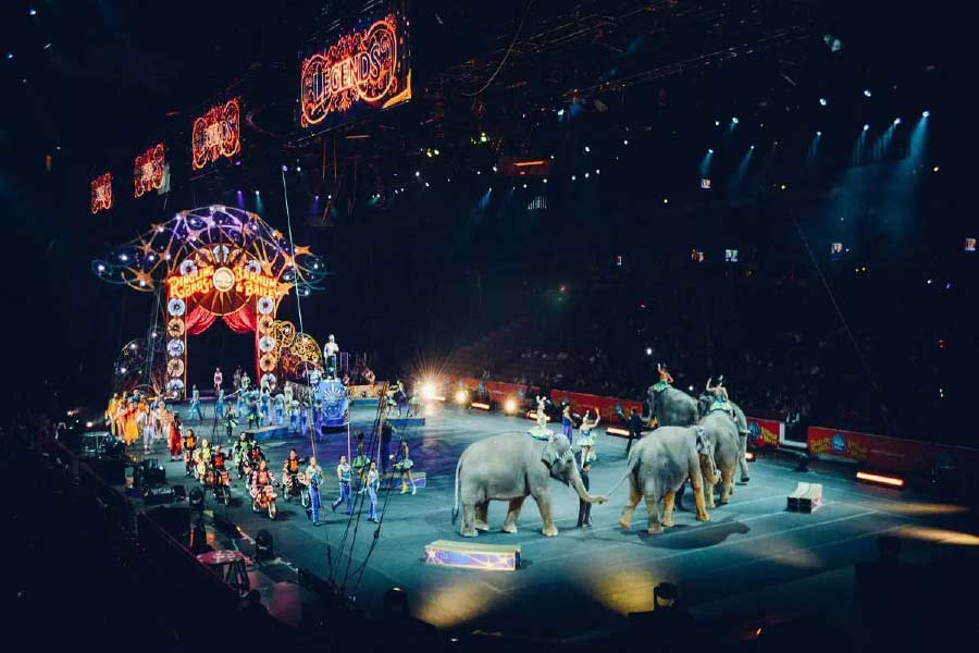 Circus Legend Gemini Shankaran.