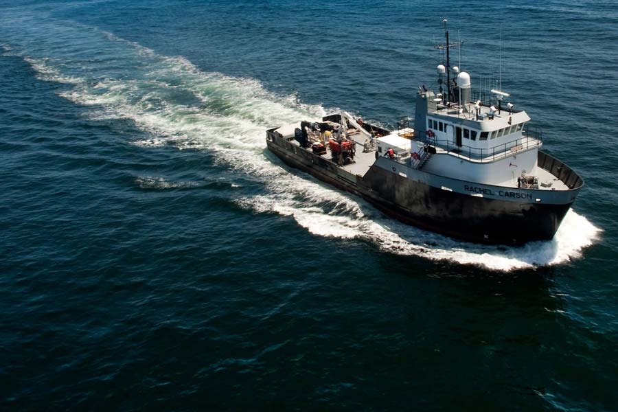 গবেষকদের একাধিক দল অতিকায় দানবের তথ্য পেতে সমুদ্রের ওই জায়গায় জাহাজ নিয়ে পরীক্ষা চালায়।