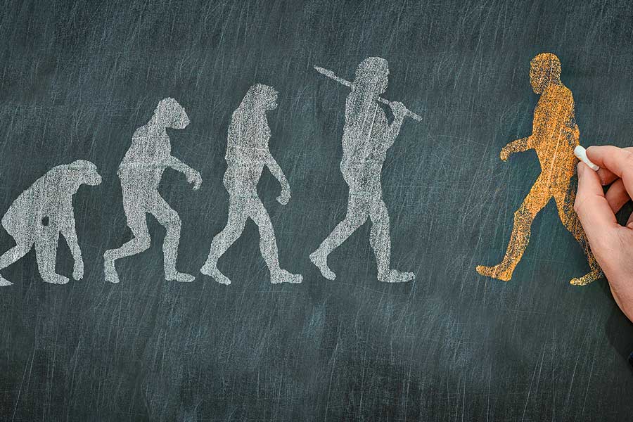 An image of Human Evolution 