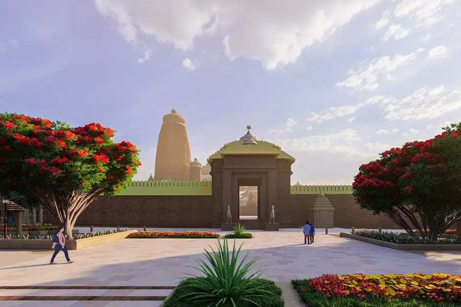 এই মন্দির গড়ার কাজ শেষ হলে একে ঘিরে যে ইউরোপে ভক্ত তথা পর্যটকদের আনাগোনা বাড়বে, আশা করেছেন সহদেব। তবে এত কিছুর মধ্যে ধনকুবের বিশ্বনাথের সম্পর্কে জানার জন্য কৌতূহলী অনেকেই। কে তিনি?