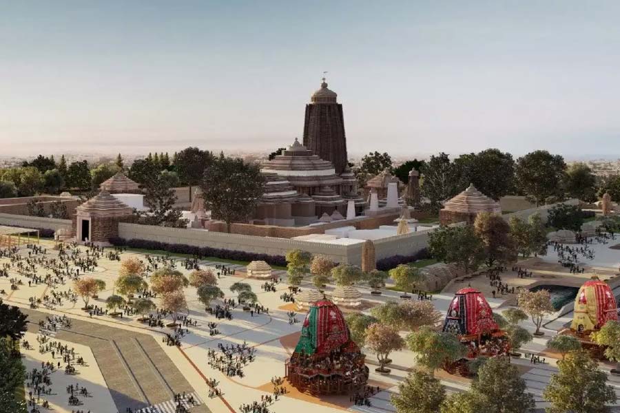 স্বাস্থ্য পরিষেবা, ভোগ্যপণ্য, ফিনটেক, সৌরশক্তি থেকে শুরু করে স্বর্ণশোধনাগার বা দুবাইয়ে বুলিয়ন ট্রেডিংয়ের ব্যবসা— নানা ক্ষেত্রেই পা রেখেছেন তিনি। উদ্যোগপতি হিসাবে বিশ্বনাথের পোর্টফোলিয়োতে জুড়ে রয়েছে বিভিন্ন ক্ষেত্র।