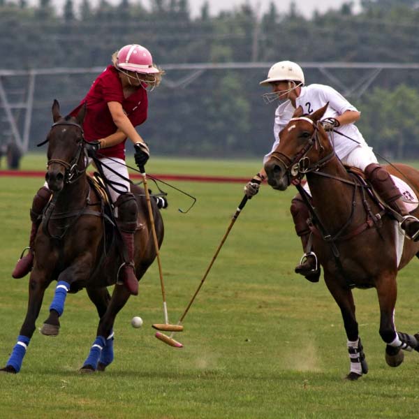 Isfandiyar Ali Khan Pataudi.