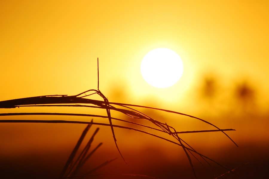 Sun gun was a weapon planned by Nazis to destroy cities during World War 2.