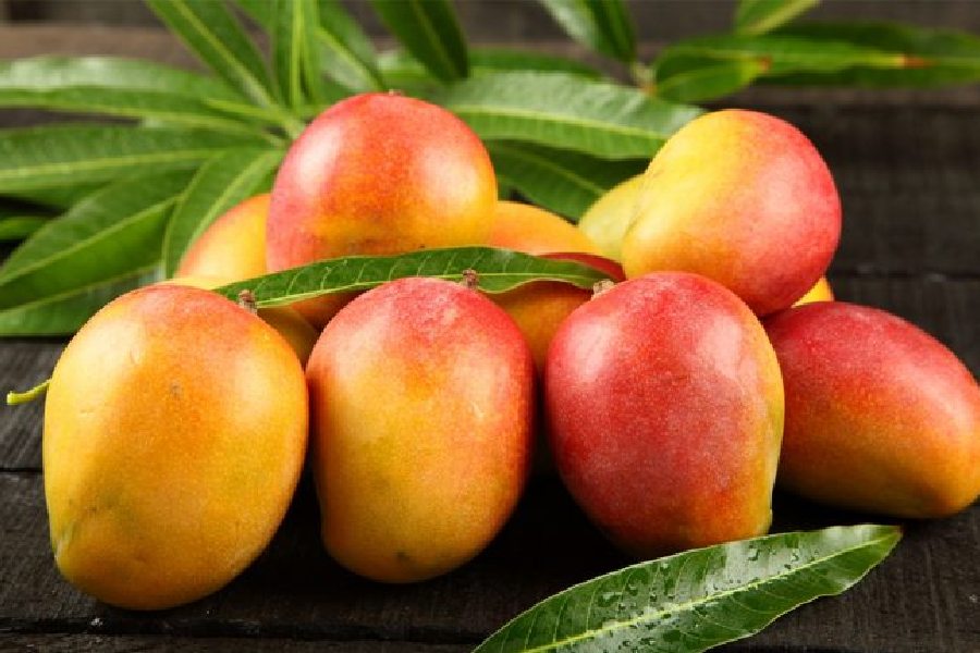mangoes 
