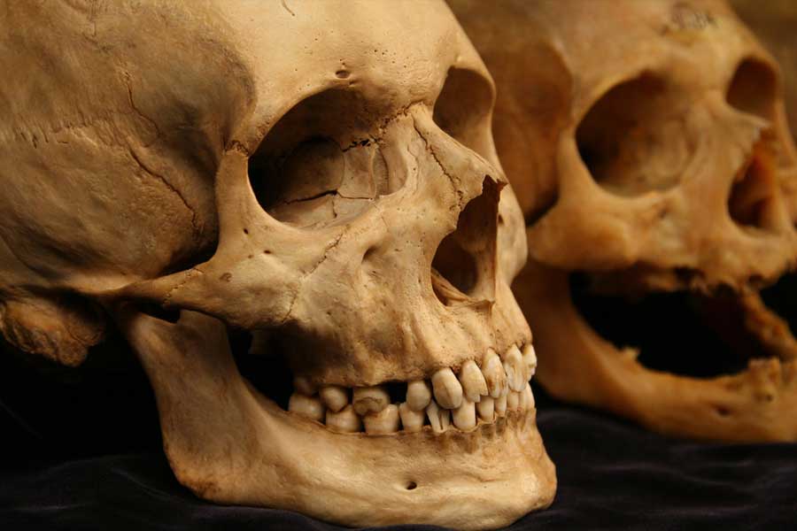 Image of excavated cave in Israel