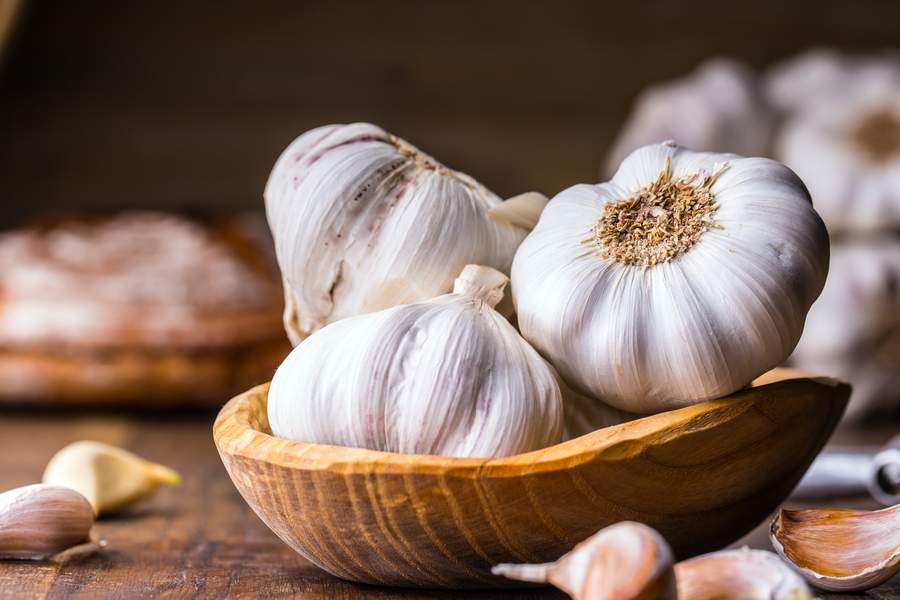 garlic