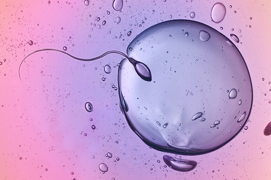 Why thousands of Taiwanese women are freezing eggs 