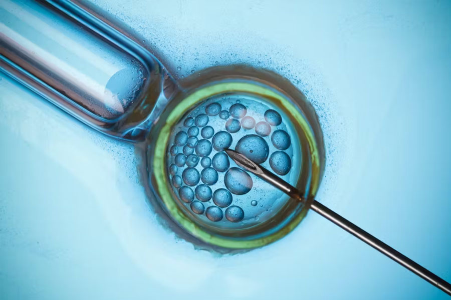 Why thousands of Taiwanese women are freezing eggs 