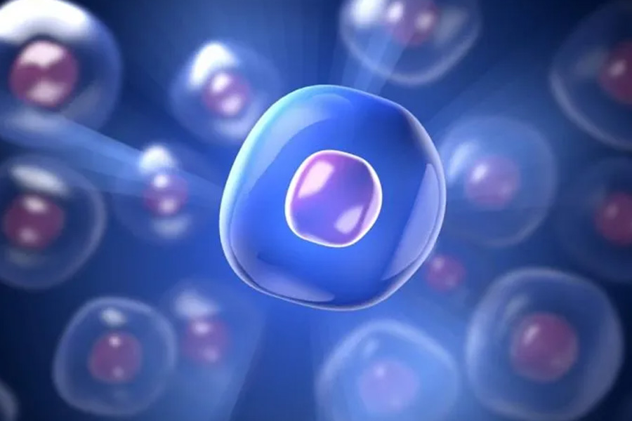 Why thousands of Taiwanese women are freezing eggs 