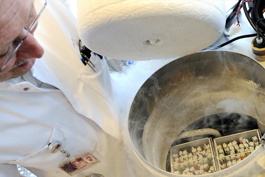 Why thousands of Taiwanese women are freezing eggs 