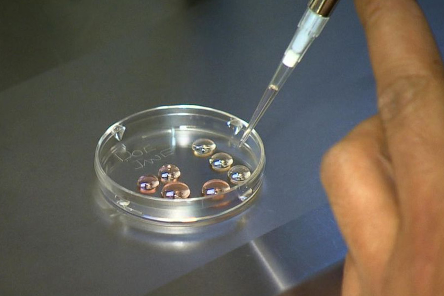 Why thousands of Taiwanese women are freezing eggs 