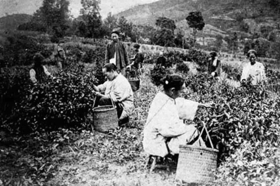 Wu Zetian, first and only female emperor in Chinese history, believed to be richest woman of world