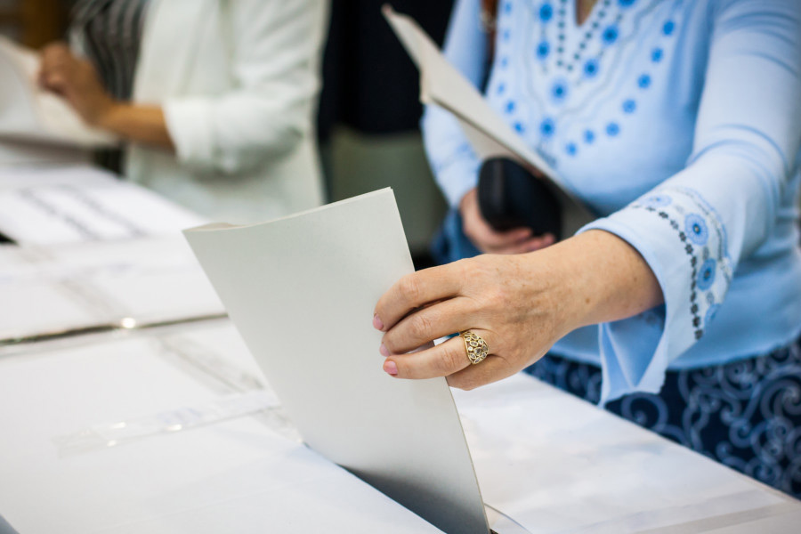 মধ্য ব্রাসেলসের স্কারবিক পুরসভার নির্বাচনে সে বার প্রার্থী ছিলেন মারিয়া ভিনডেভোগেল নামে এক অখ্যাত রাজনীতিক। বর্ণবিদ্বেষের বিরুদ্ধে এবং নারীবাদের পক্ষে সরব ছিলেন তিনি।