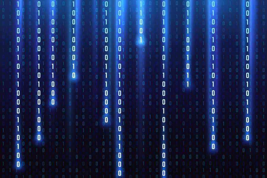 সব ছবি: সংগৃহীত।