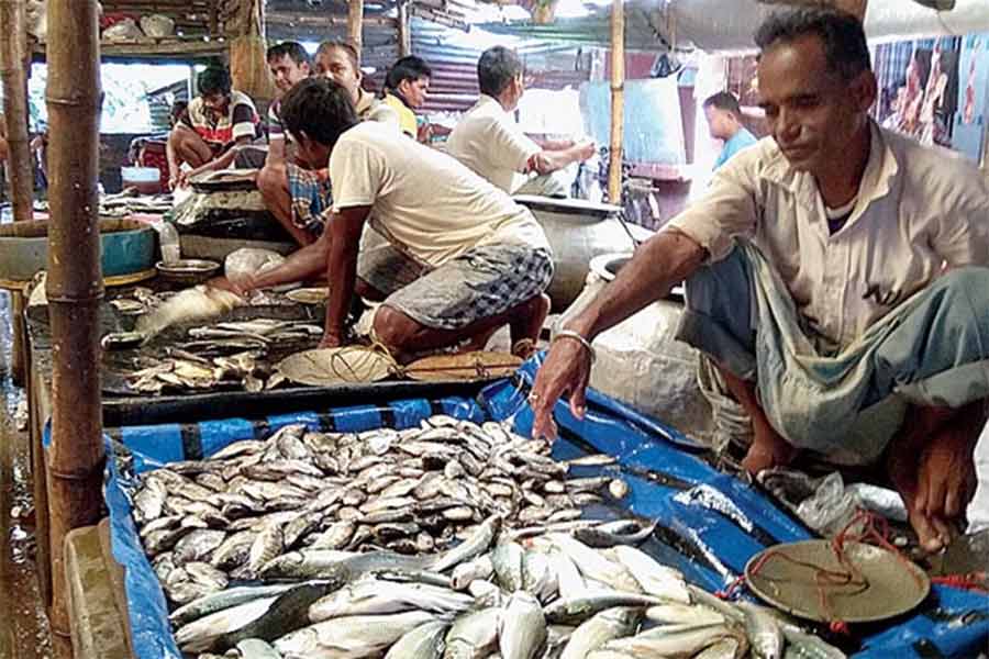How to choose fresh Fish from market