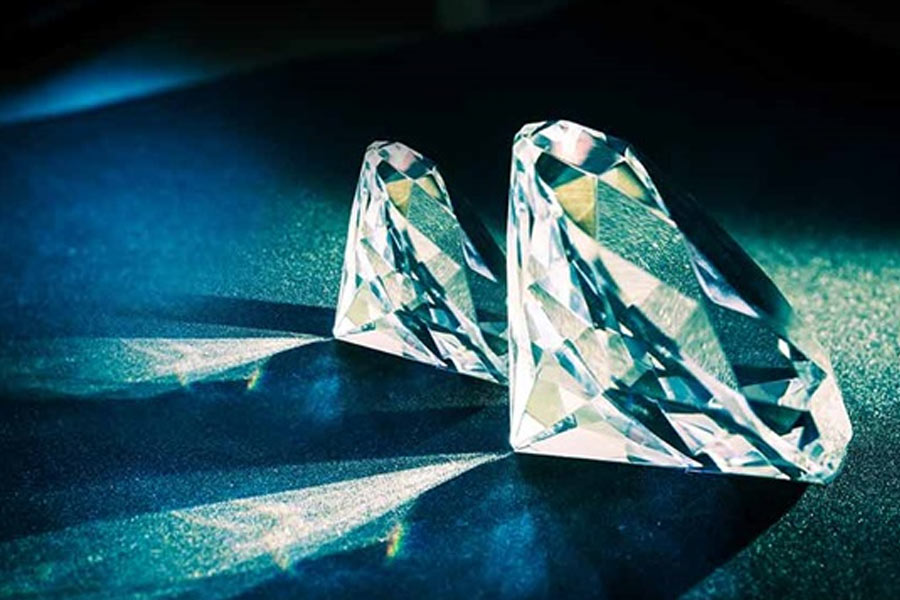 তদন্তে জানা গিয়েছিল, চুরির আগে মাসে এক বার করে ডায়মন্ড সেন্টারে যেতেন লিয়োনার্দো। তবে চুরির ঠিক আগের সপ্তাহে প্রায় রোজ যেতেন তিনি। একই দিনে দু-তিন বারও গিয়েছেন বলে ক্যামেরায় ধরা পড়েছিল। পুলিশের ধারণা, গোটা এলাকা রেইকি করার জন্য যেতেন তিনি। আশপাশের নিরাপত্তা ব্যবস্থা খতিয়ে দেখতেন।