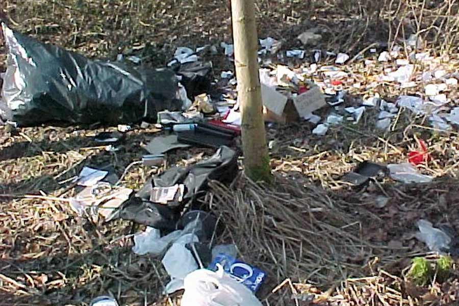 সেই ব্যাগে ছিল একটি দস্তানা, হিরে রাখার খাম, কিছু নথি আর টাকা। জঙ্গল সাফ করতে এসে ব্যাগটা দেখেন এক ব্যক্তি। খবর দেন পুলিশকে। পুলিশ এসে দেখে ওই ব্যাগের মধ্যে রয়েছে আরও একটি ছোট ব্যাগ। যার মধ্যে ছিল একটি মুদি দোকানের বিল। সেই বিল দেখেই লিয়োনার্দোর সঙ্গে যোগ খুঁজে বার করে পুলিশ।