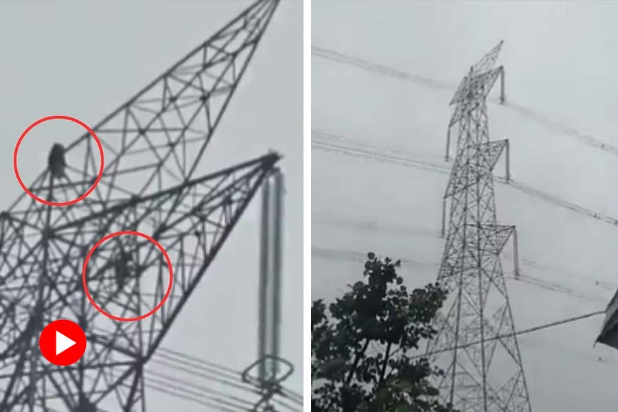 Girl climbs 150 feet tower after fighting with boyfriend and he also follows her in Chhatisgarh.