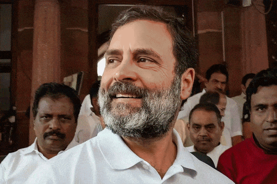 রাহুলের সাংসদ পদ ফিরে পাওয়ার আনন্দে উৎসব সংসদ এবং ১০ জনপথে।