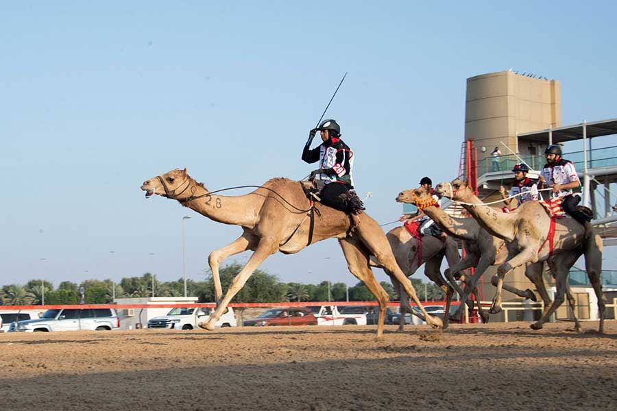 Expensive things that can only be seen in Dubai