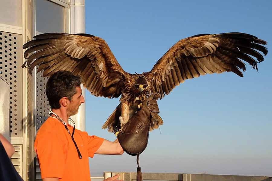 Expensive things that can only be seen in Dubai