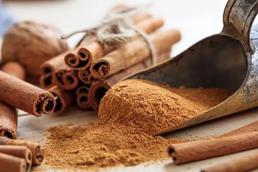 image of Cinnamon.