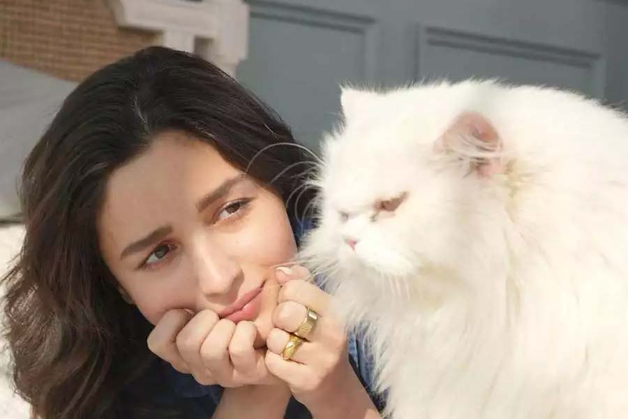 Image of Alia Bhatt with her persian cat Edward. 