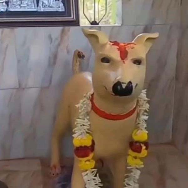 image of dog temple 