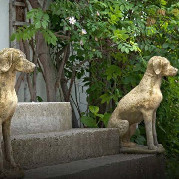 কখনও গ্রামের কোনও বাসিন্দা নিজের পোষ্য সারমেয়ের যত্নআত্তি করতে না পারলে তাকে মন্দিরের কাছে ছেড়ে দিয়ে যান। অন্য কেউ সেই সারমেয়ের দেখভালের দায়িত্ব নেন। পারলে নিজের বাড়িতে নিয়ে গিয়ে রাখেন।