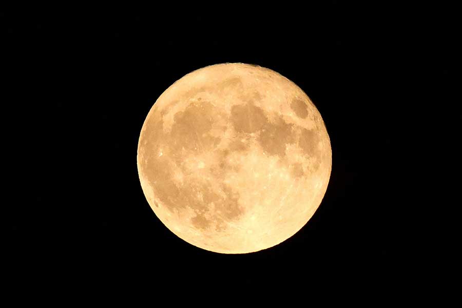 চাঁদের দক্ষিণ মেরুতে পাথরের নীচে জল থাকার সম্ভাবনা রয়েছে। সে ক্ষেত্রে প্রাণের উপযোগী পরিবেশের সন্ধানও মিলতে পারে। তাই দক্ষিণ মেরু বিজ্ঞানীদের আকর্ষণের কেন্দ্রে। এক বছর ধরে দক্ষিণ মেরুতে ঘুরে ঘুরে সেই সন্ধানই চালাবে রাশিয়ার লুনা-২৫।