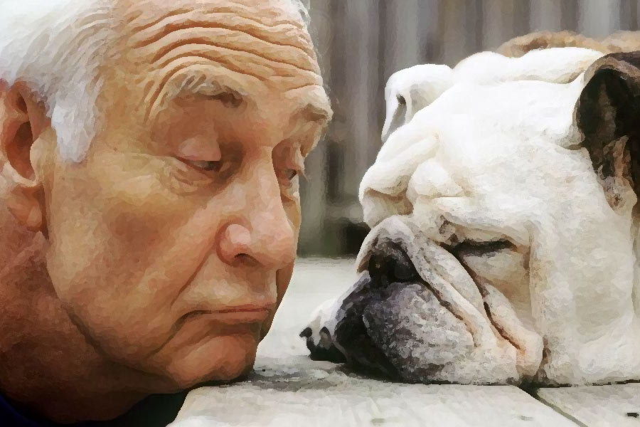 Pet dog chews toe of old man turns out to be live saver.