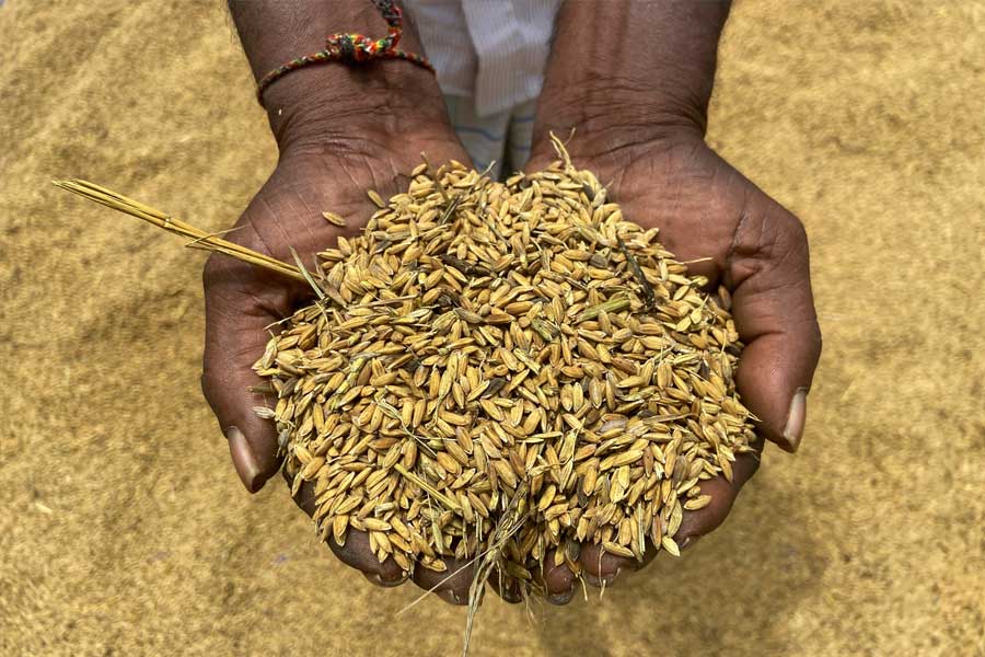 চলতি বছরের শেষ ভাগে সুদের হার কিছুটা হ্রাস করার ভাবনা রয়েছে কেন্দ্রীয় ব্যাঙ্কের। অর্থনীতির সাম্প্রতিক জটিলতা থেকে শ্রীলঙ্কা বেরিয়ে আসতে পারে কি না, সেটাই এখন দেখার।