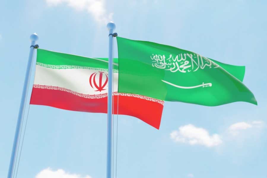 বিবিসি-র প্রতিবেদন অনুযায়ী, সংযুক্ত আরব আমিরশাহি এবং বাহরিন সম্পূর্ণরূপে সৌদি আরবের সমর্থক। তবে ইরাকের সরকার ইরানের পক্ষে। এ ছাড়া, সিরিয়া, লেবানন এবং ইয়েমেনের সমর্থন দুই দেশের পক্ষে দ্বিধাবিভক্ত। 