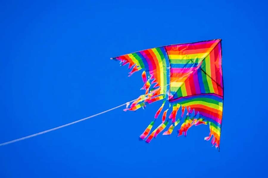 On Independence Day why do people of North India fly kites