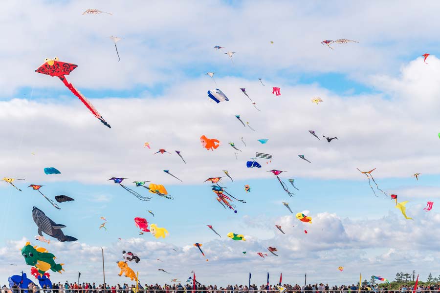 On Independence Day why do people of North India fly kites
