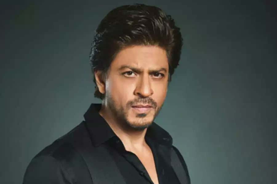 চলতি বছরের ডিসেম্বর মাসে ‘ডঙ্কী’ মুক্তির সম্ভাবনা রয়েছে। এই ছবিও মুক্তির প্রথম দিনে ‘পাঠান’-এর চেয়ে বেশি ব্যবসা করবে বলে ছবি বিশেষজ্ঞদের ধারণা।