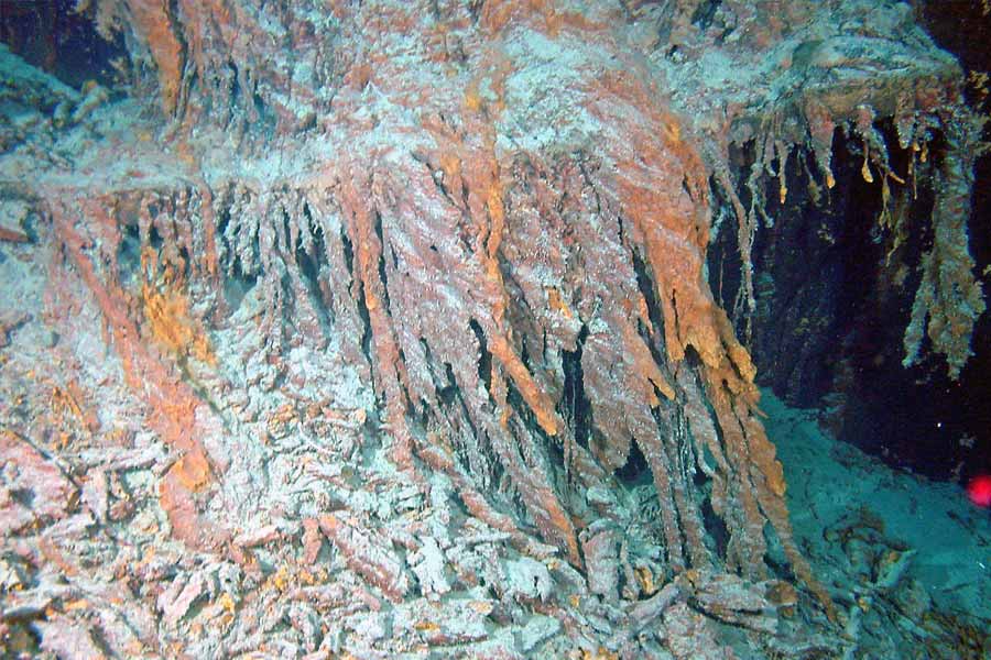 Creatures that can be found near Titanic wreck