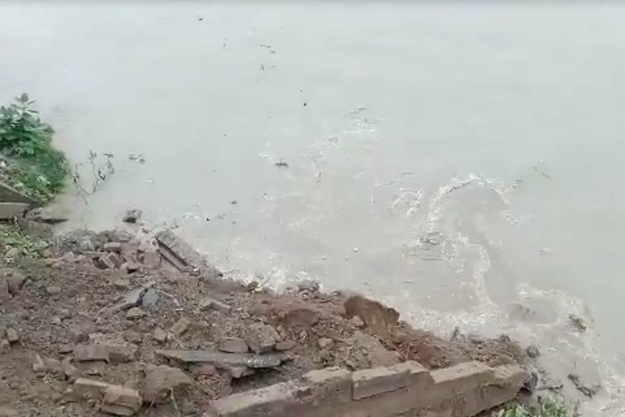 Erosion of river ganges has become a menace in Shamsherganj of Murshidabad