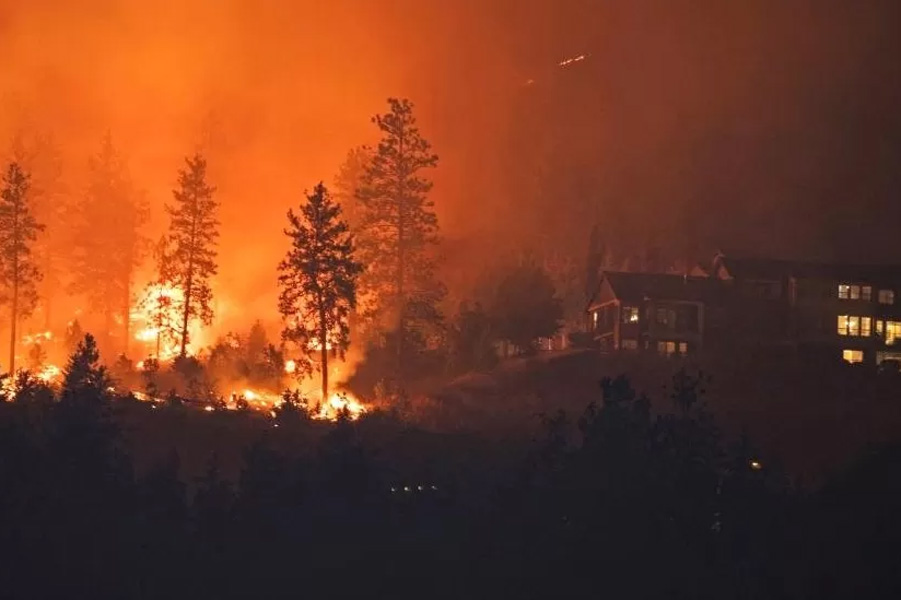 An image of Wildfire
