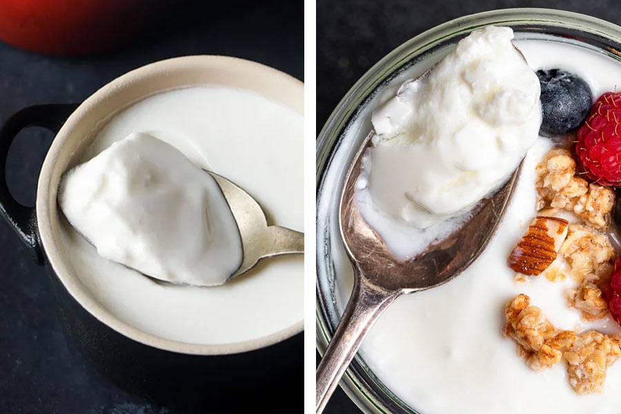 Image of Curd and Yogurt.